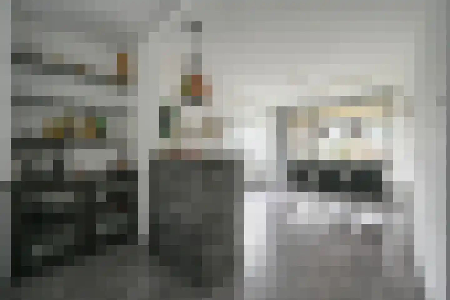 Huis te Landelaan 230 Rijswijk thumbnail 15