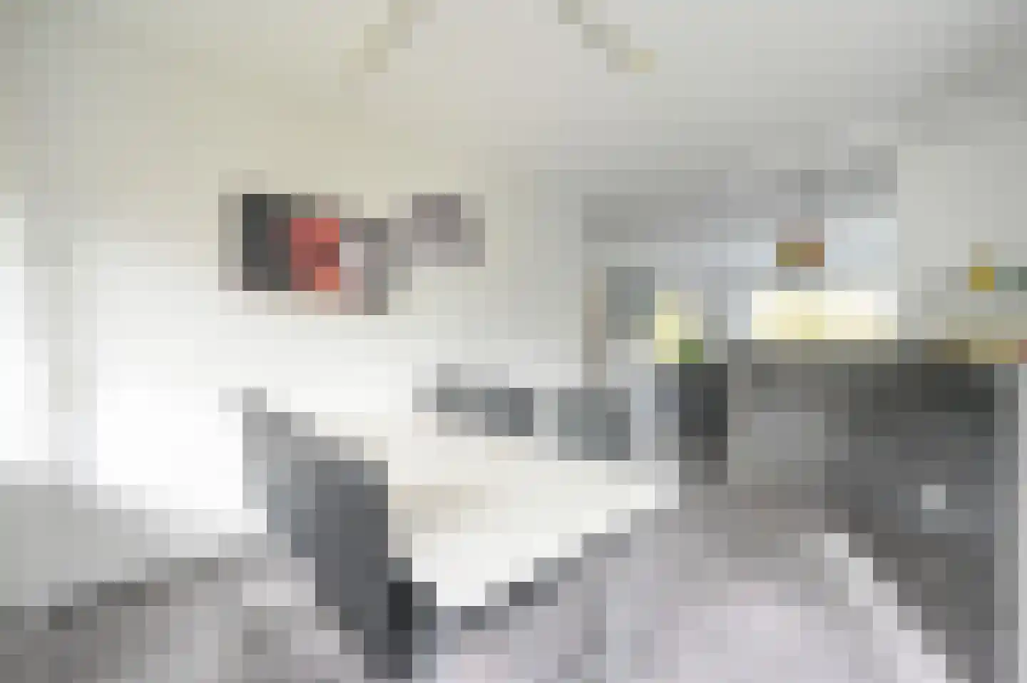 Huis te Landelaan 230 Rijswijk thumbnail 17