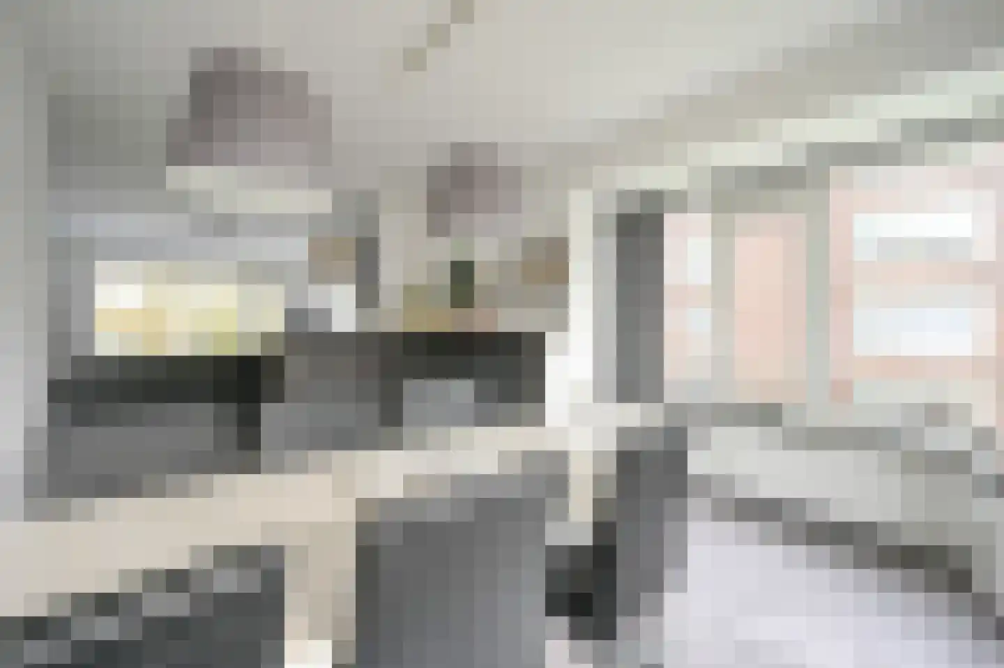 Huis te Landelaan 230 Rijswijk thumbnail 18
