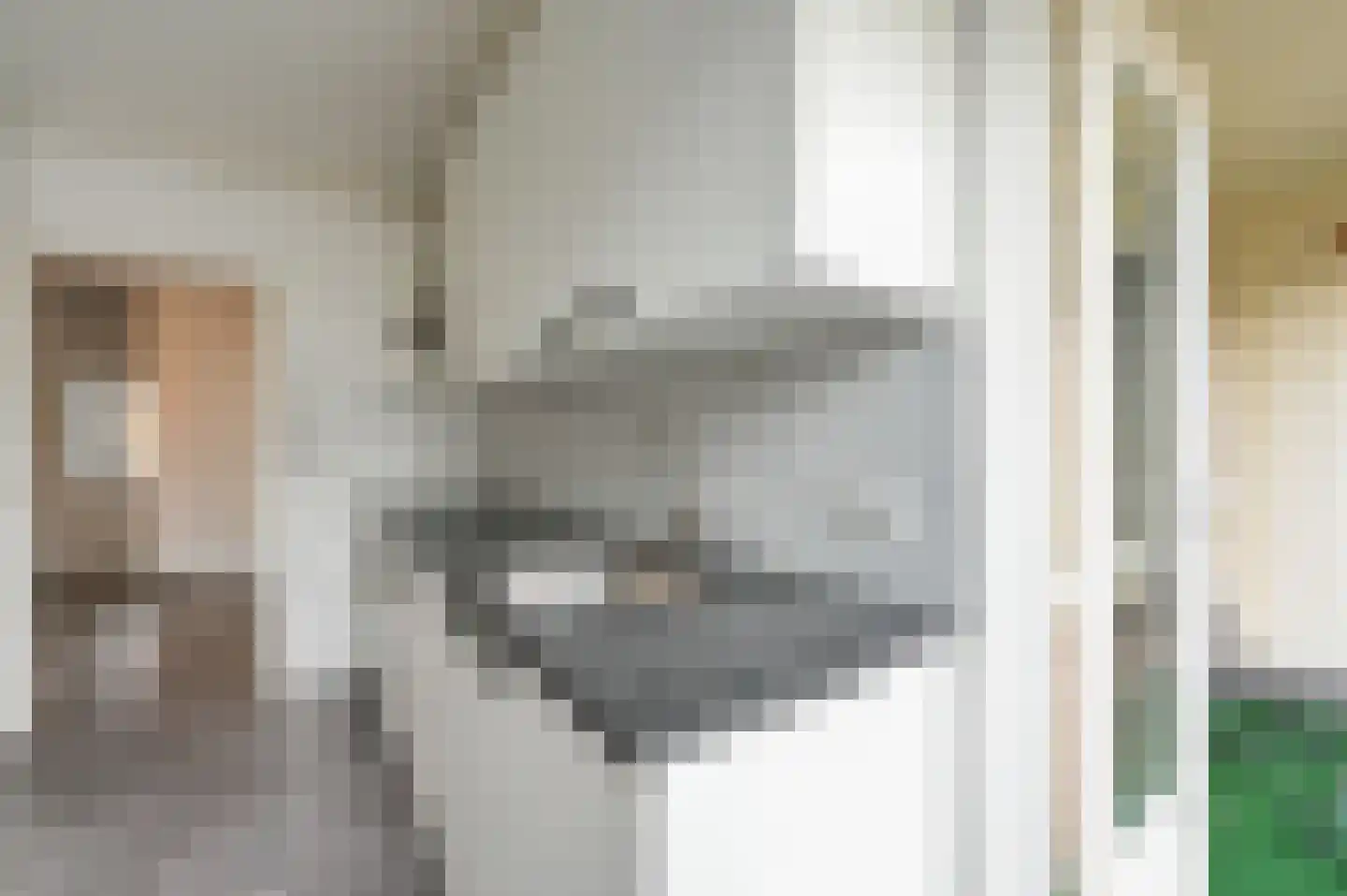 Huis te Landelaan 230 Rijswijk thumbnail 20