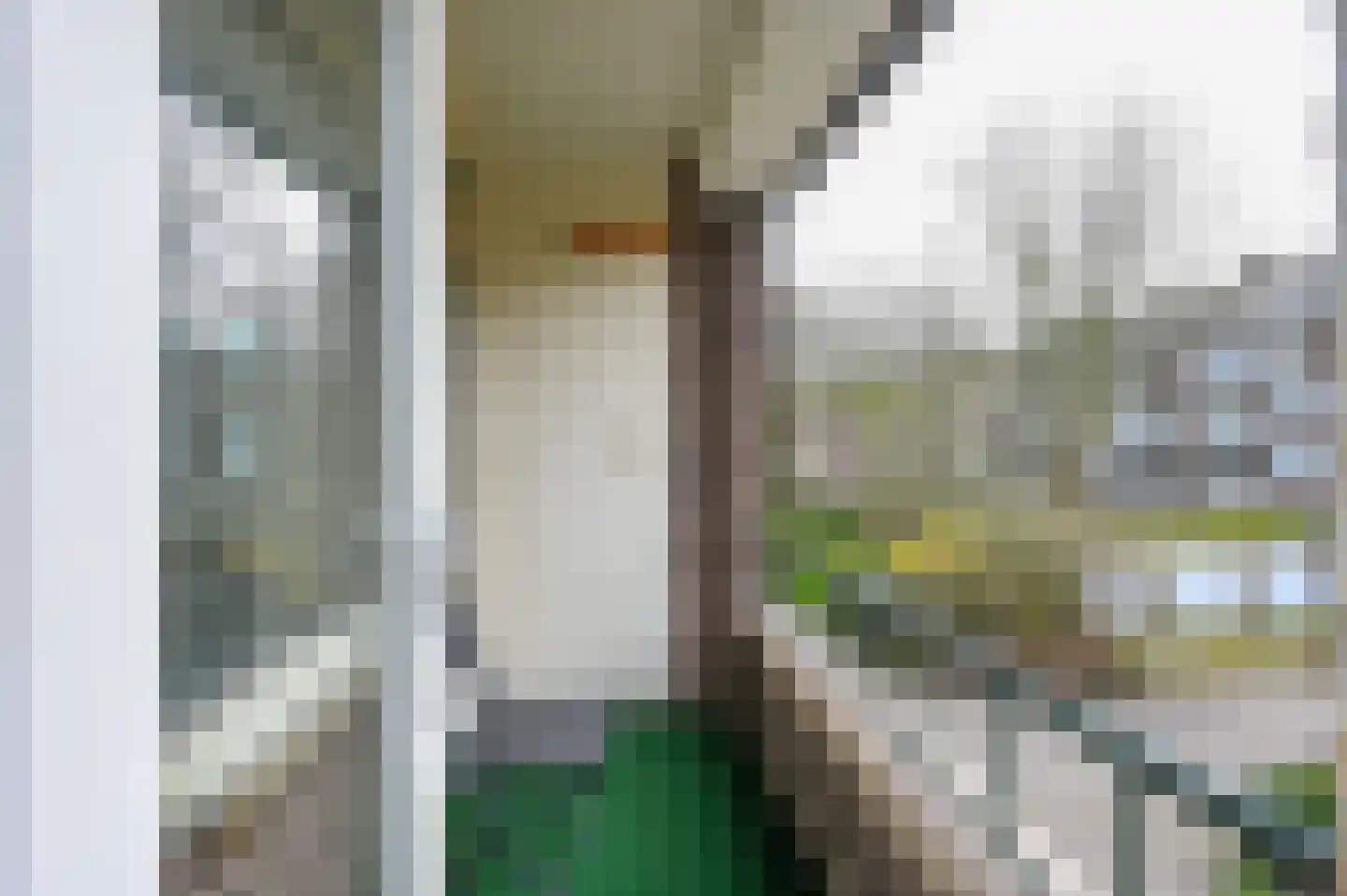 Huis te Landelaan 230 Rijswijk thumbnail 21