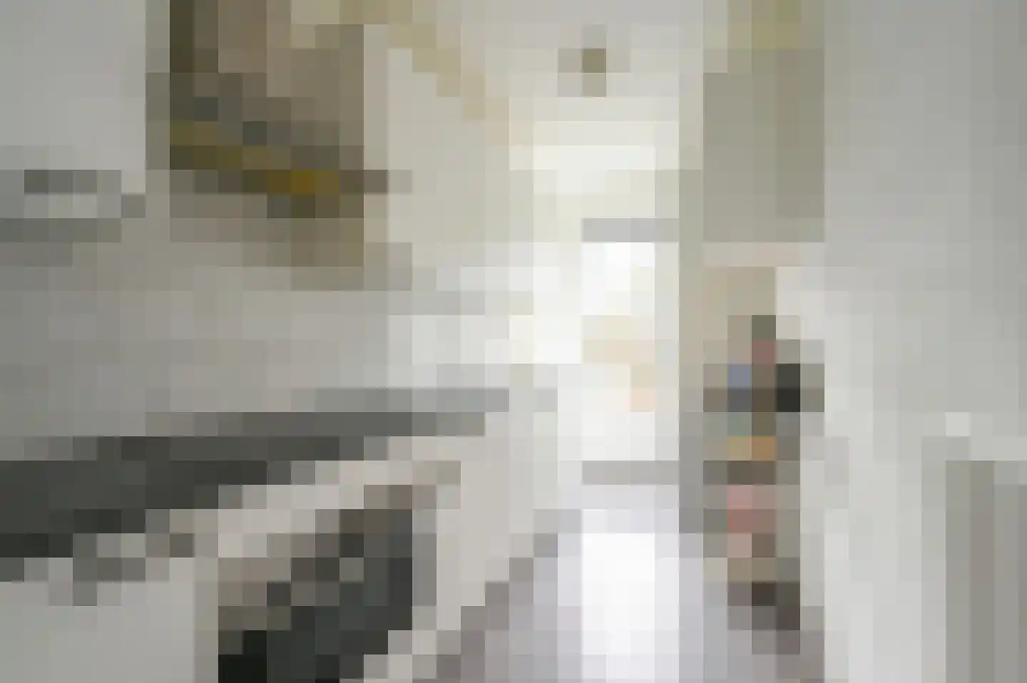 Huis te Landelaan 230 Rijswijk thumbnail 4