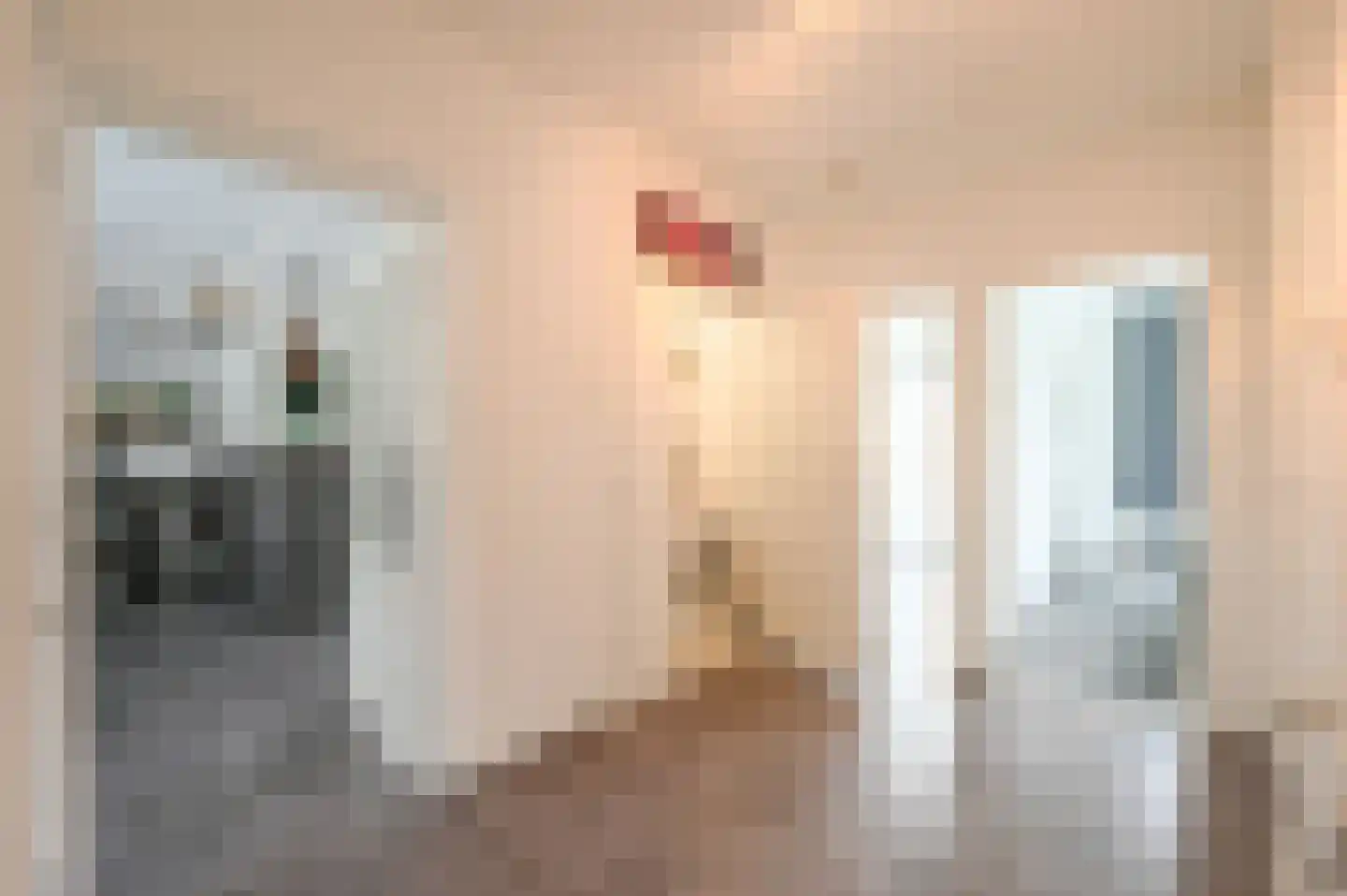 Huis te Landelaan 230 Rijswijk thumbnail 8