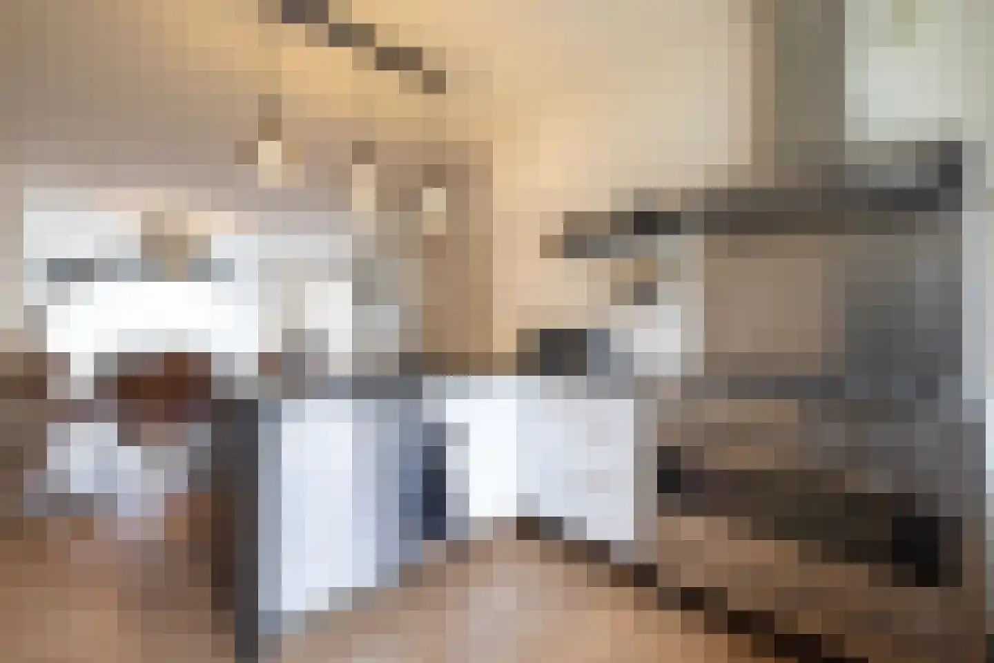 Huis te Landelaan 274 Rijswijk thumbnail 16