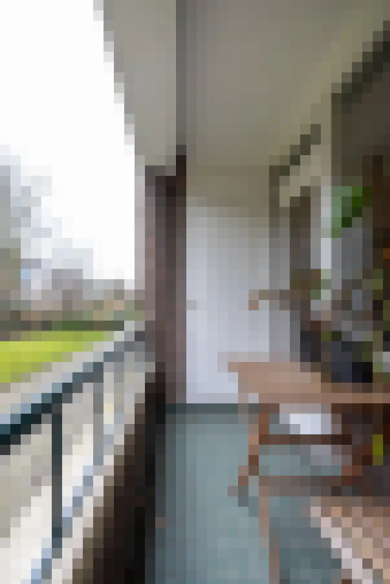 Huis te Landelaan 274 Rijswijk thumbnail 17