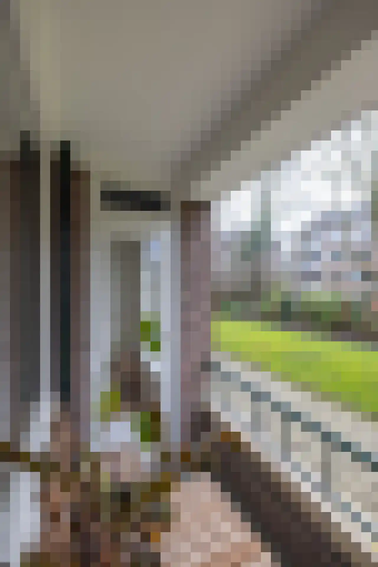Huis te Landelaan 274 Rijswijk thumbnail 18