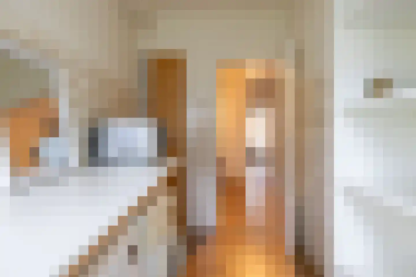Huis te Landelaan 274 Rijswijk thumbnail 20