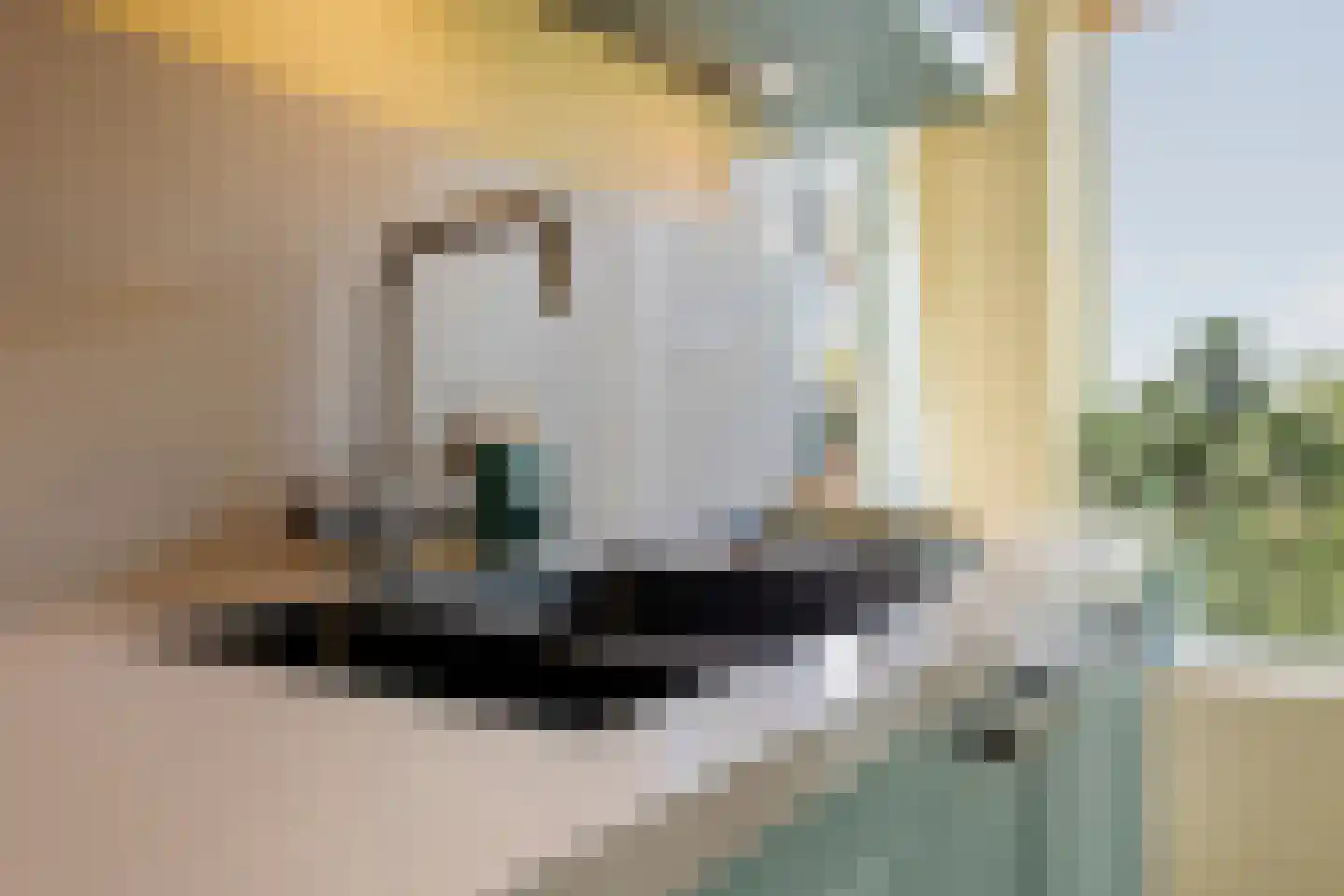 Huis te Landelaan 326 Rijswijk thumbnail 16