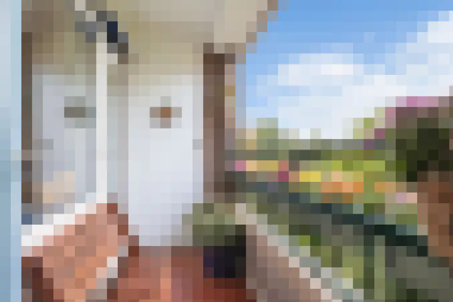 Huis te Landelaan 326 Rijswijk thumbnail 18