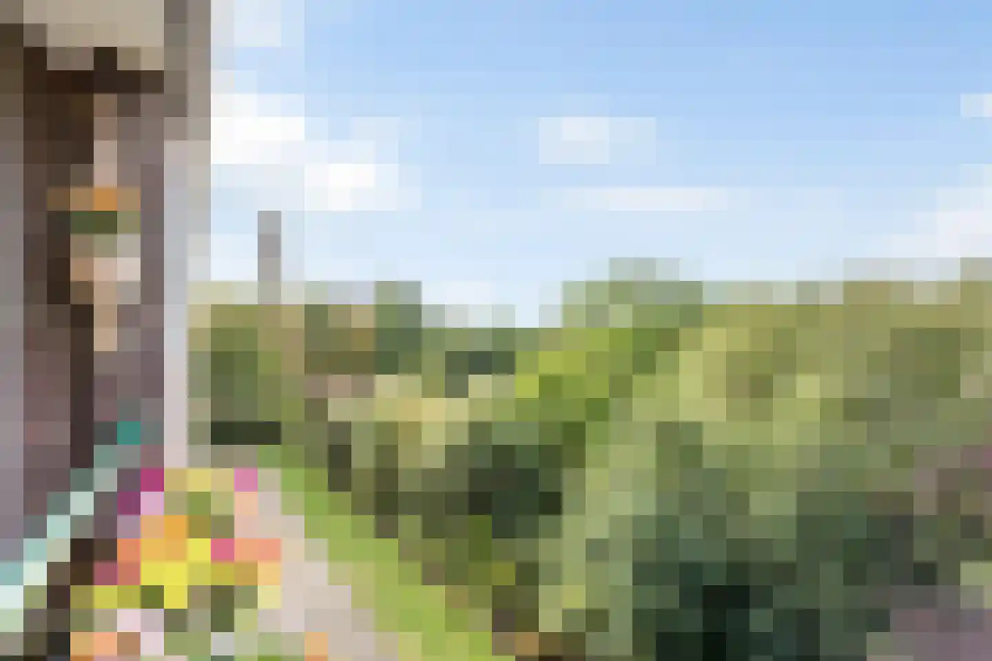 Huis te Landelaan 326 Rijswijk thumbnail 20