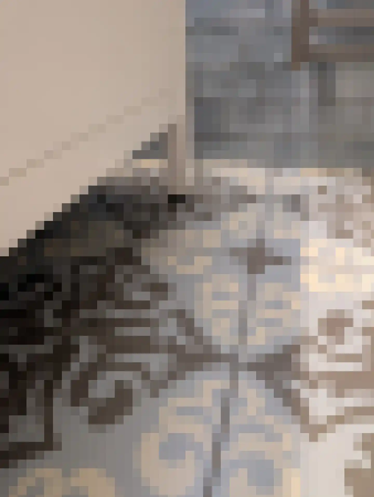 Huis te Landelaan 326 Rijswijk thumbnail 35