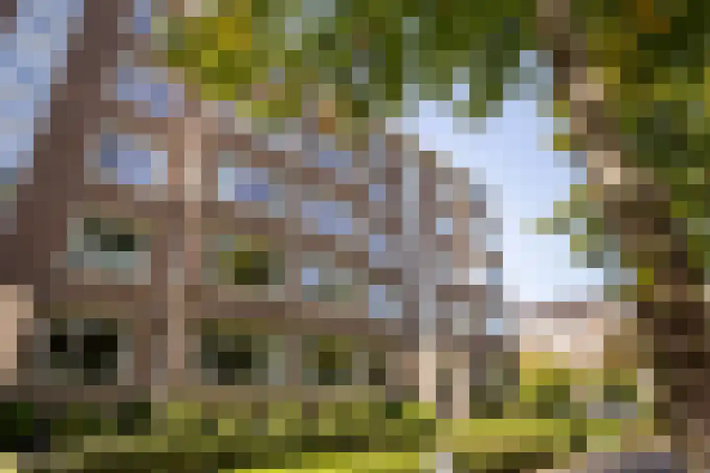 Huis te Landelaan 326 Rijswijk thumbnail 41