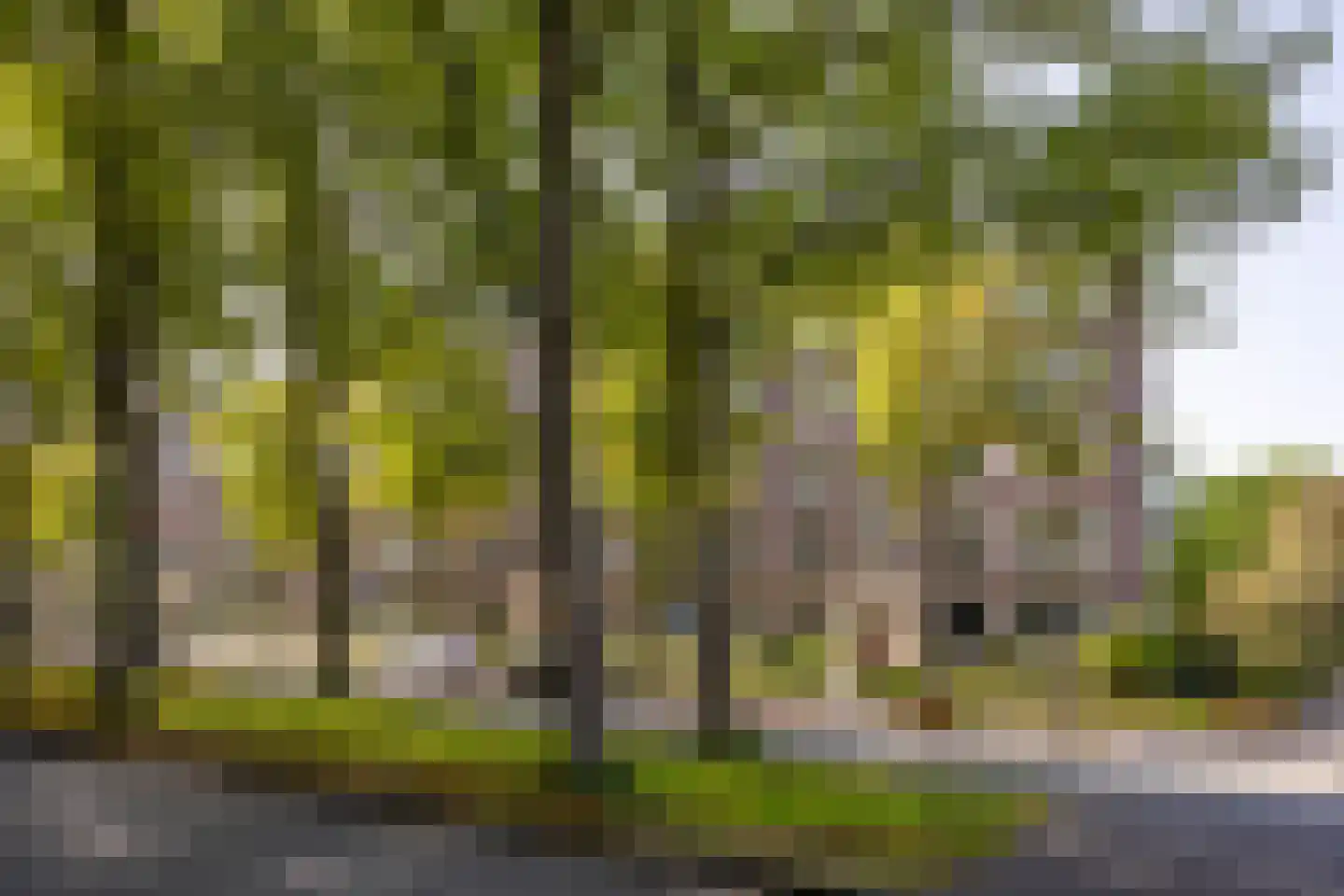 Huis te Landelaan 326 Rijswijk thumbnail 44