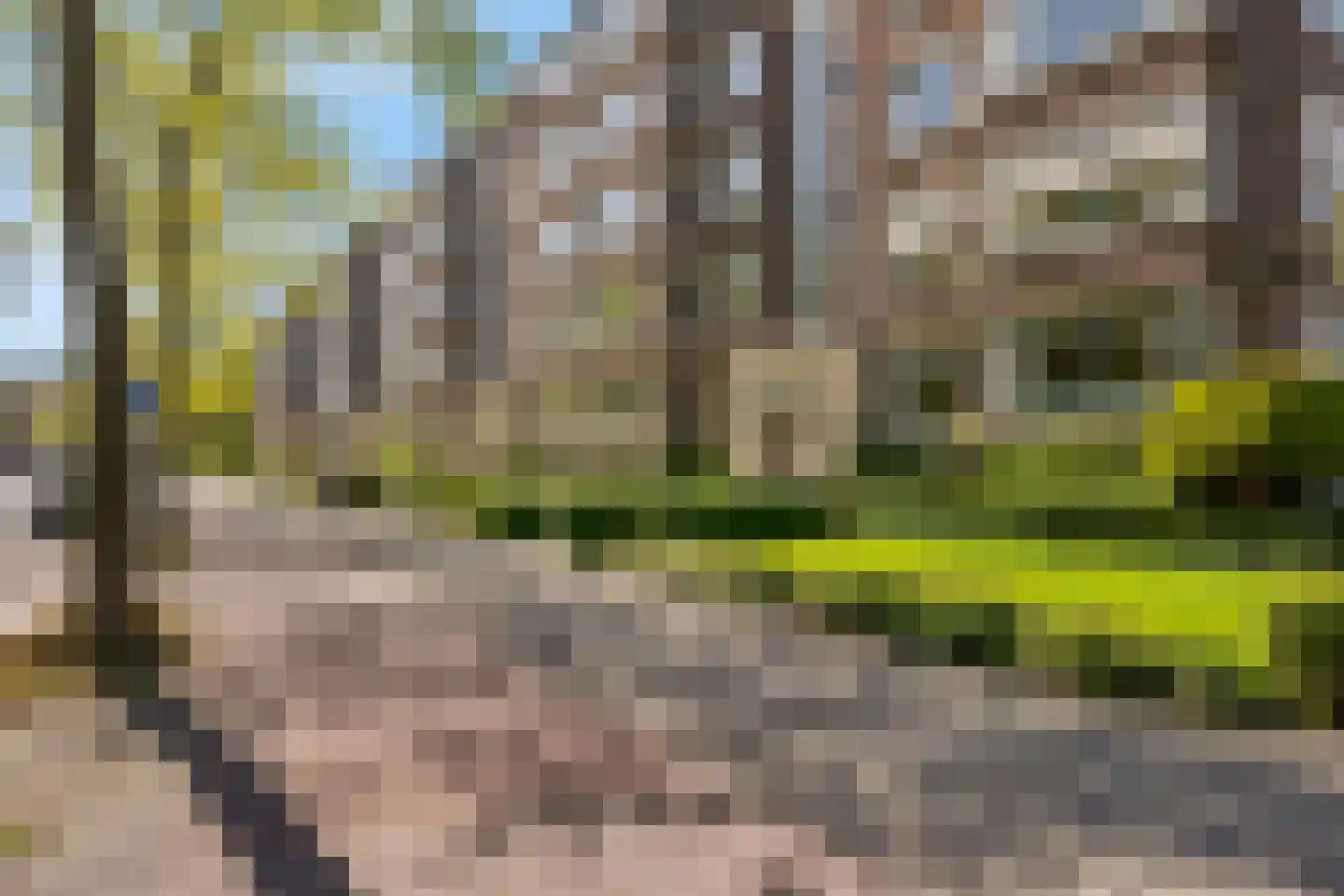 Huis te Landelaan 340 Rijswijk thumbnail 22
