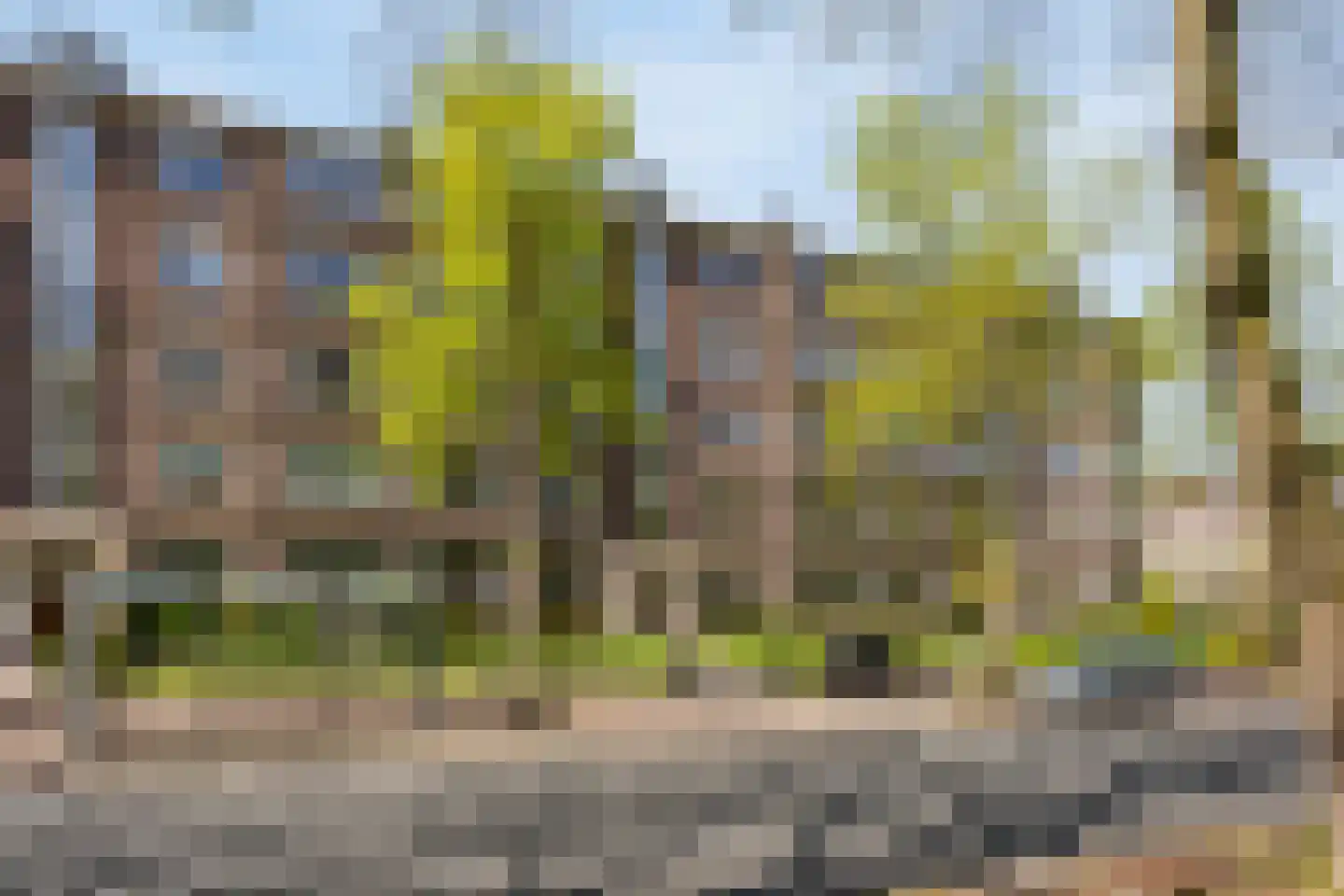 Huis te Landelaan 340 Rijswijk thumbnail 24