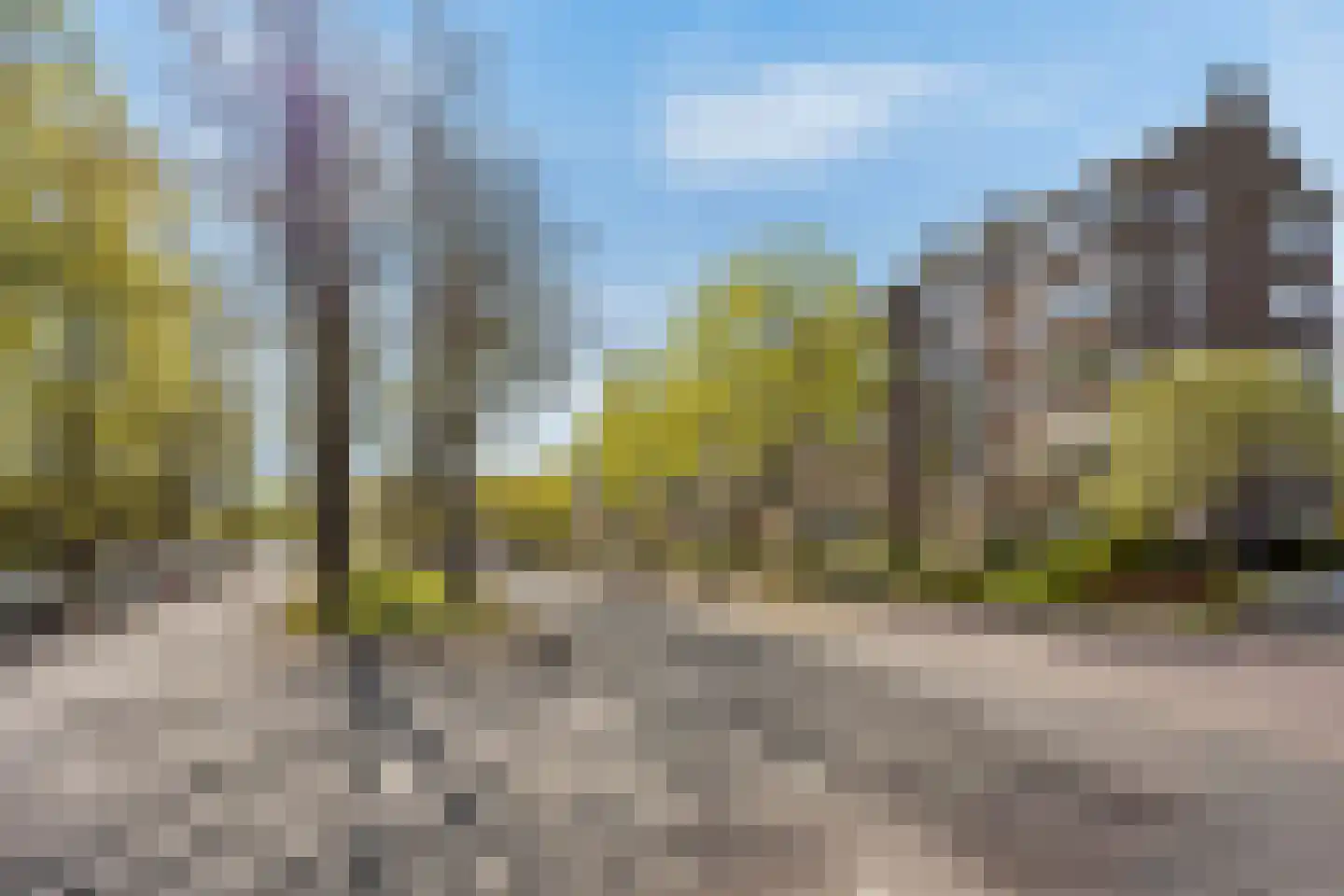 Huis te Landelaan 340 Rijswijk thumbnail 26