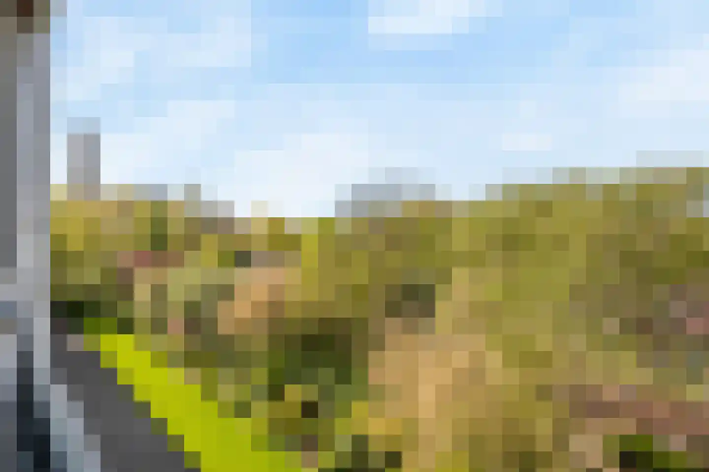 Huis te Landelaan 340 Rijswijk thumbnail 8
