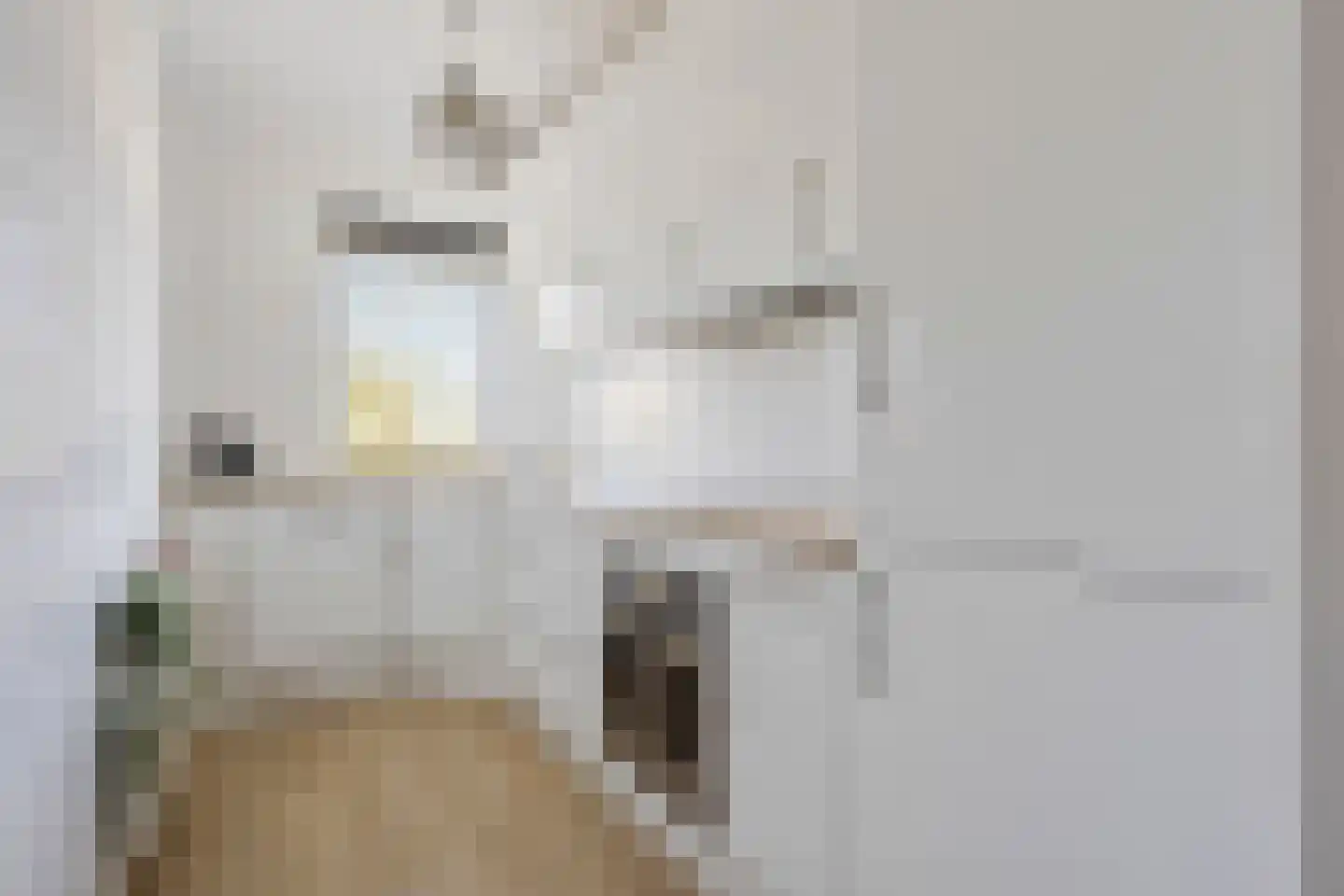 Huis te Landelaan 340 Rijswijk thumbnail 9