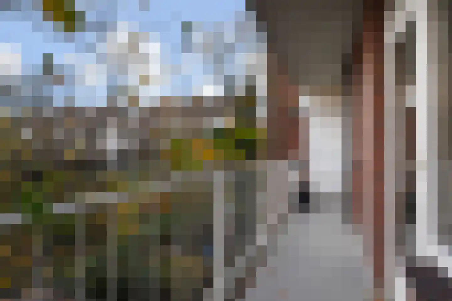 Huis te Landelaan 35 Rijswijk thumbnail 10