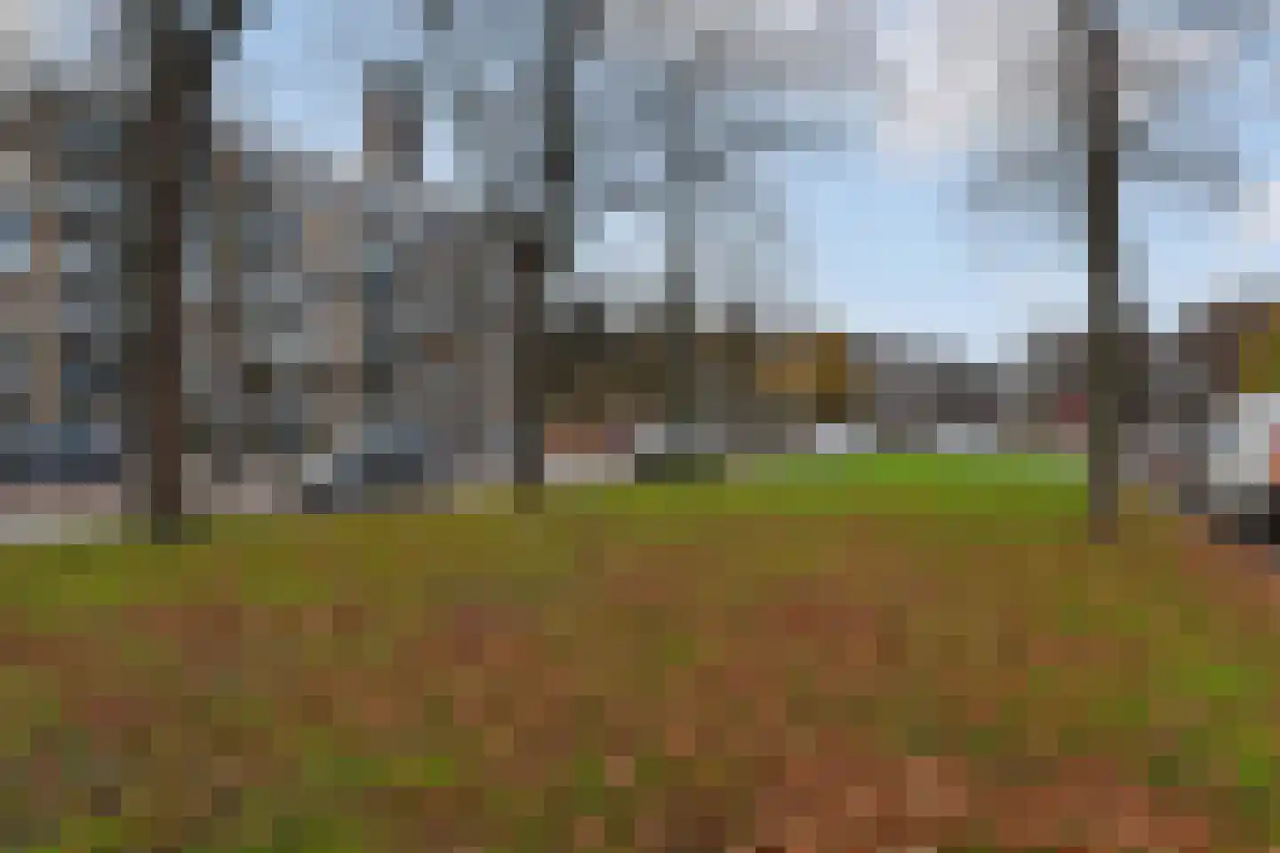 Huis te Landelaan 35 Rijswijk thumbnail 26