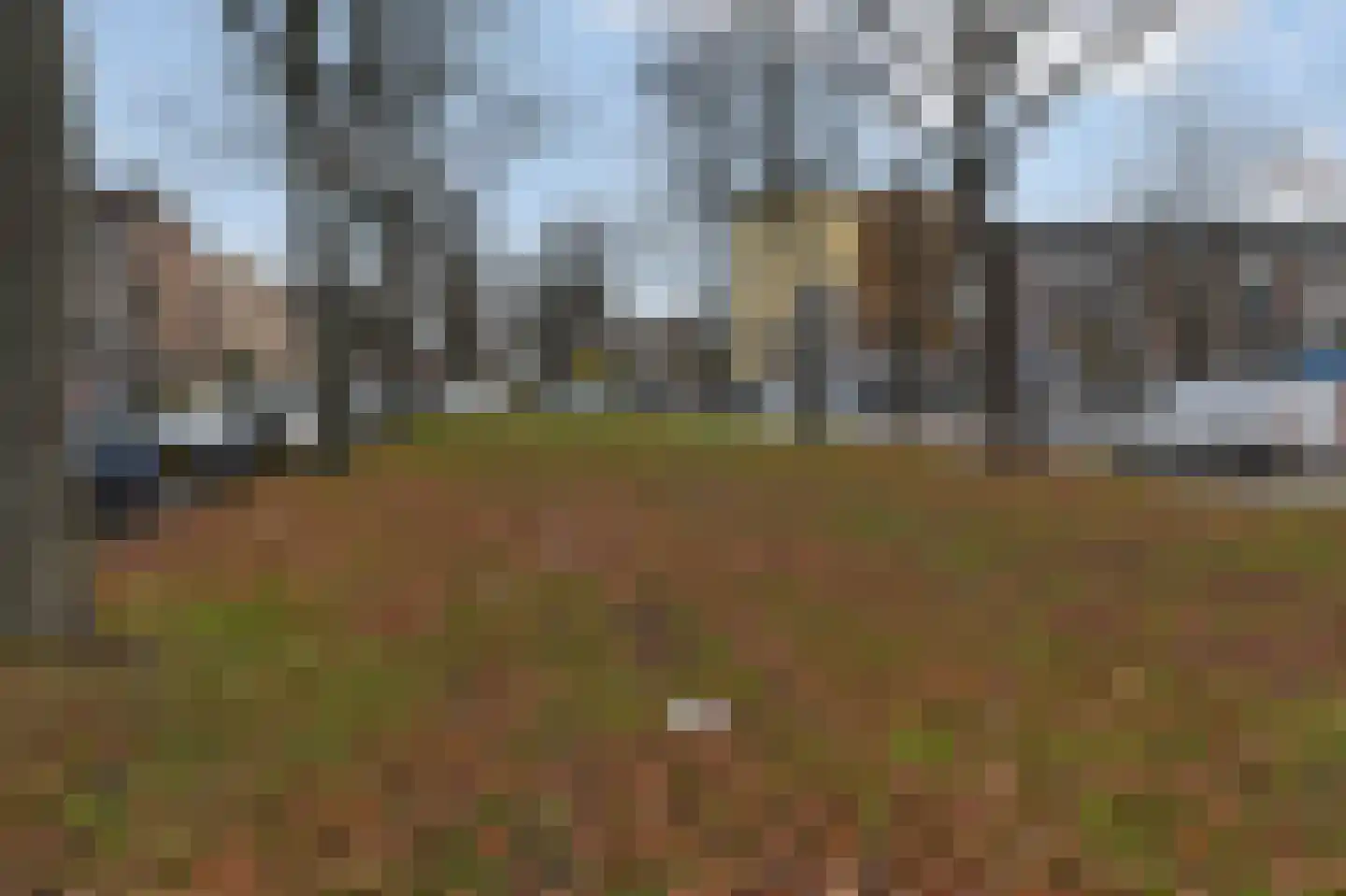 Huis te Landelaan 35 Rijswijk thumbnail 27