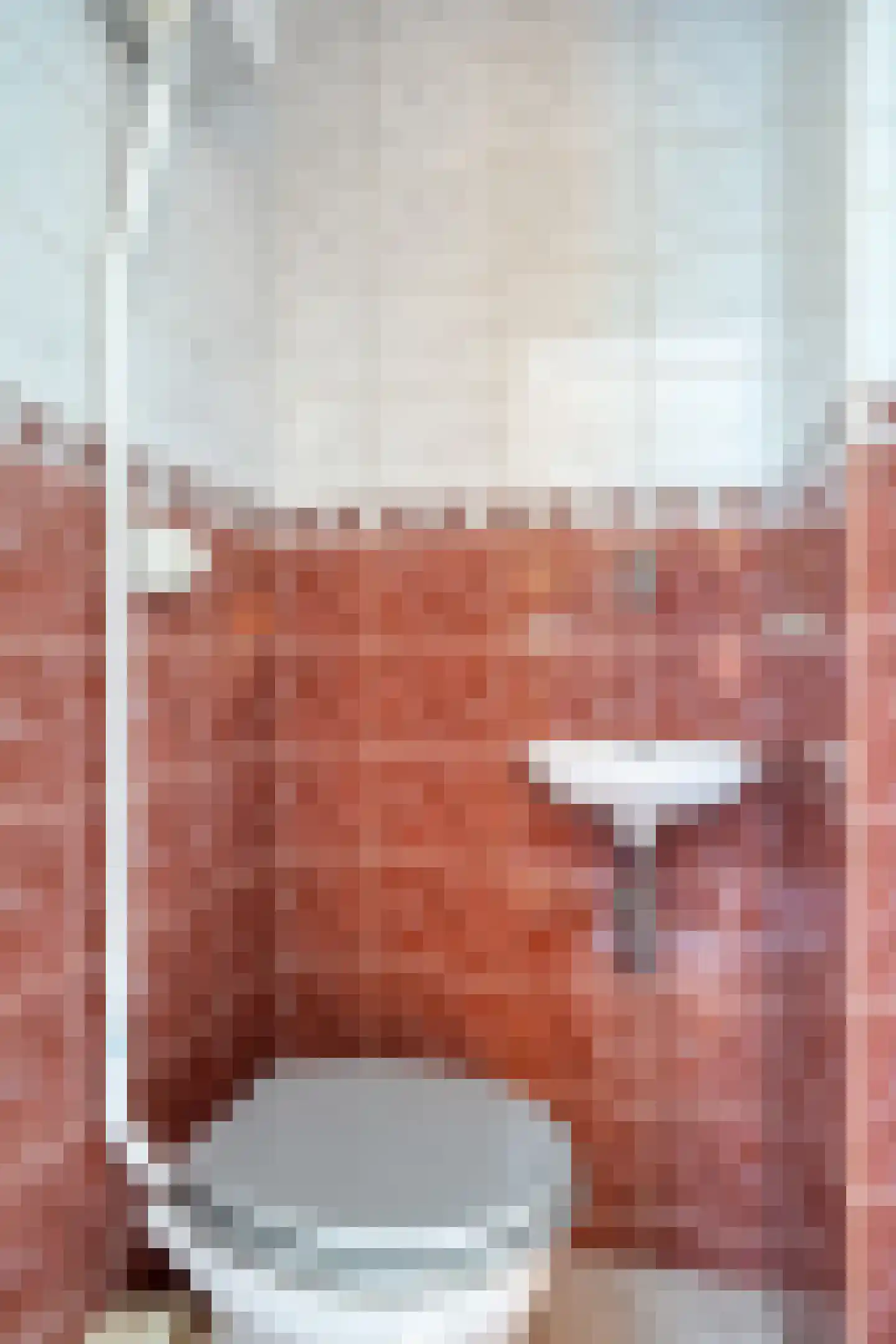 Huis te Landelaan 386 Rijswijk thumbnail 12