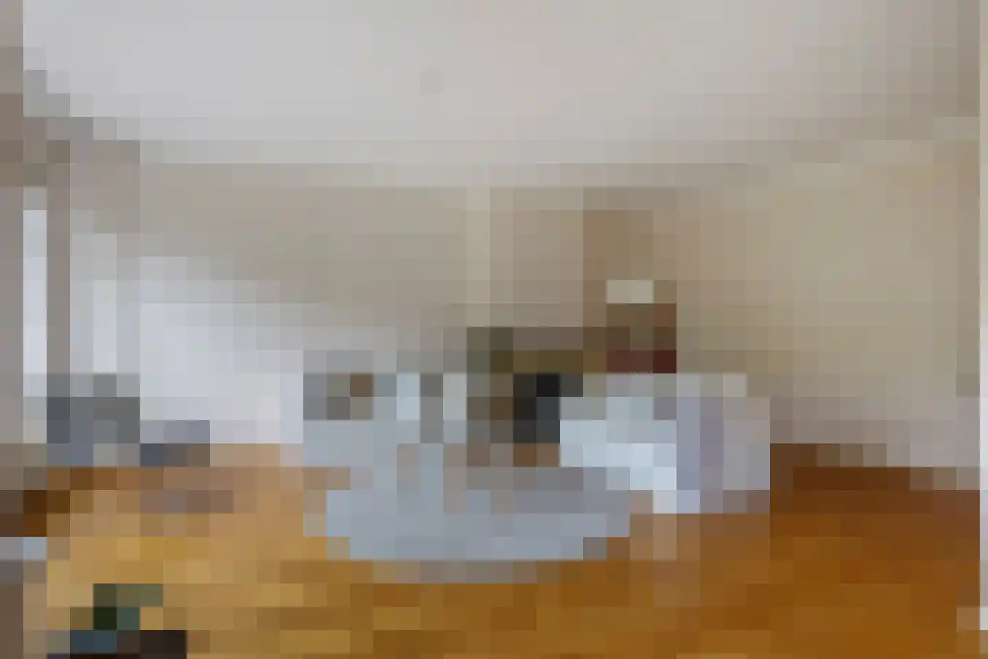Huis te Landelaan 386 Rijswijk thumbnail 17