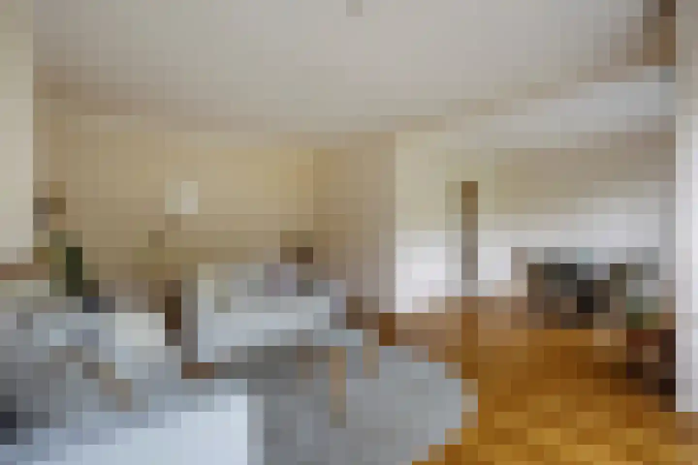 Huis te Landelaan 386 Rijswijk thumbnail 19