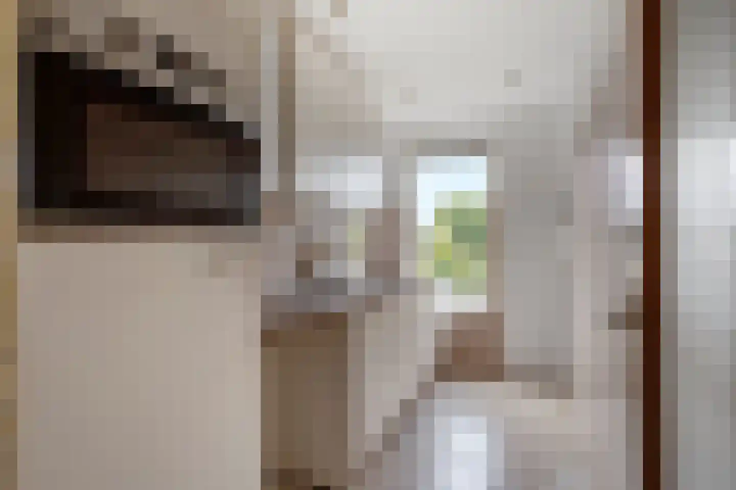 Huis te Landelaan 386 Rijswijk thumbnail 21