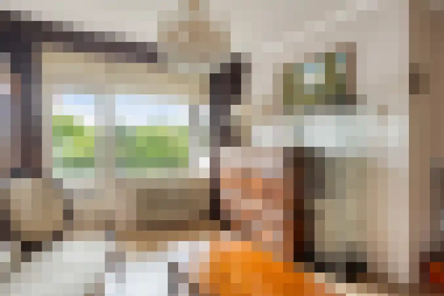 Huis te Landelaan 386 Rijswijk thumbnail 27