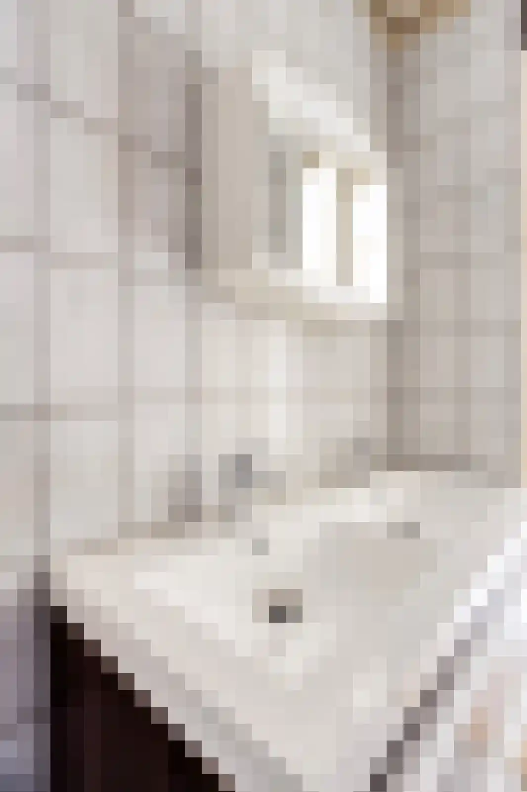 Huis te Landelaan 386 Rijswijk thumbnail 33
