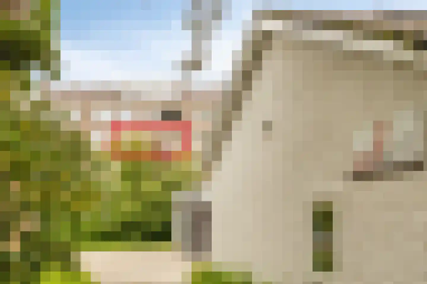Huis te Landelaan 386 Rijswijk thumbnail 34