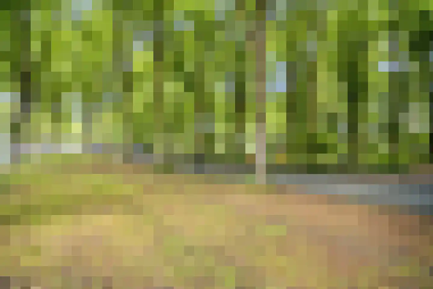 Huis te Landelaan 386 Rijswijk thumbnail 38