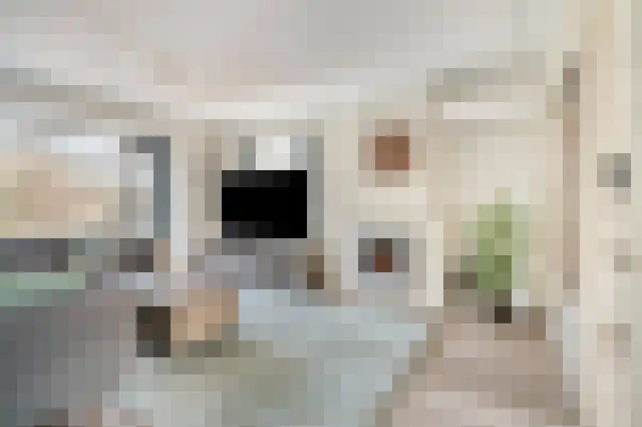 Huis te Landelaan 408 Rijswijk thumbnail 13