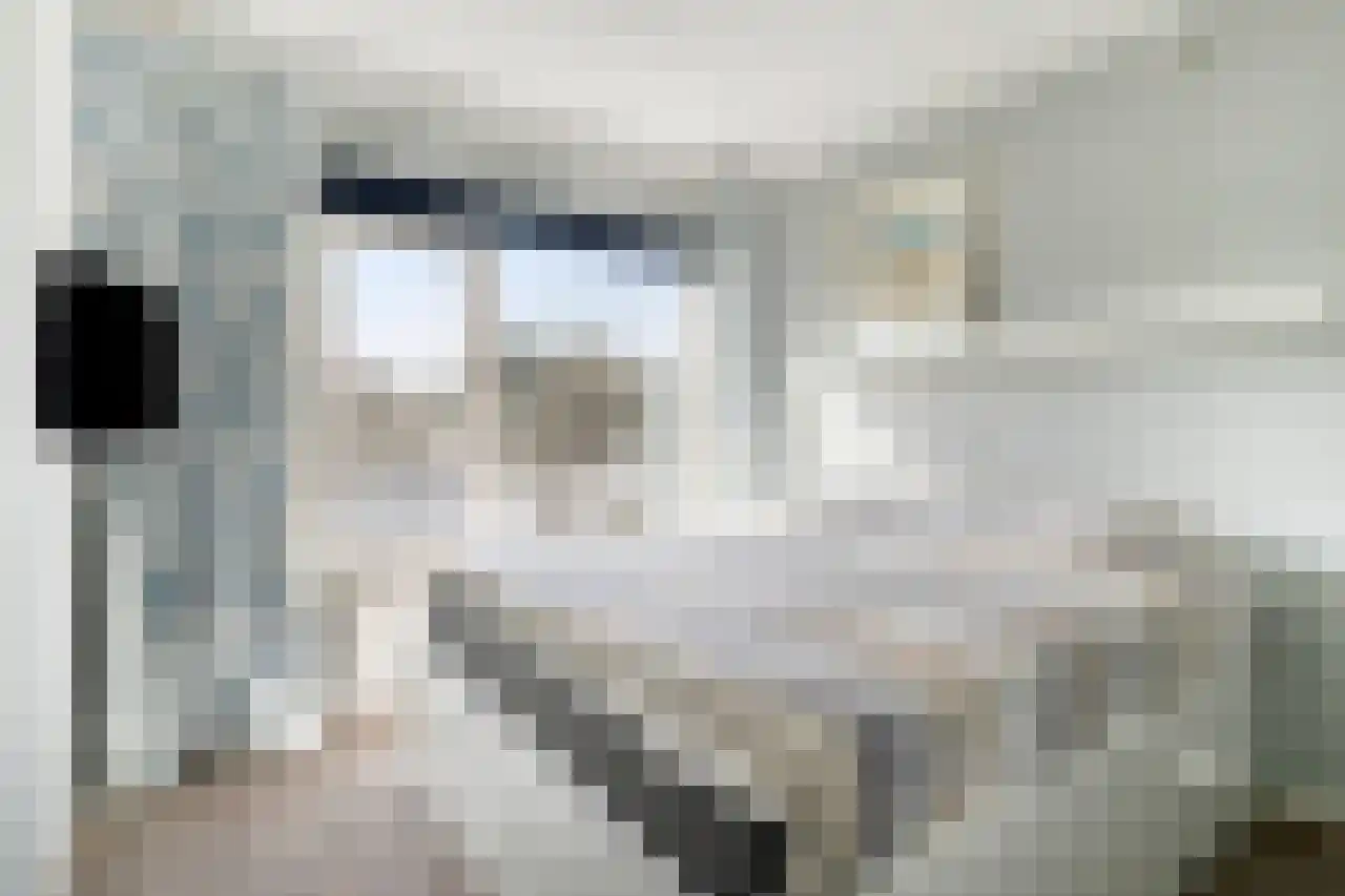 Huis te Landelaan 408 Rijswijk thumbnail 22