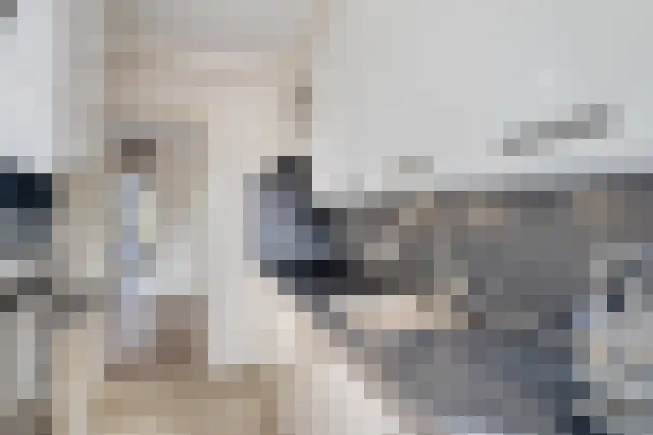 Huis te Landelaan 408 Rijswijk thumbnail 27