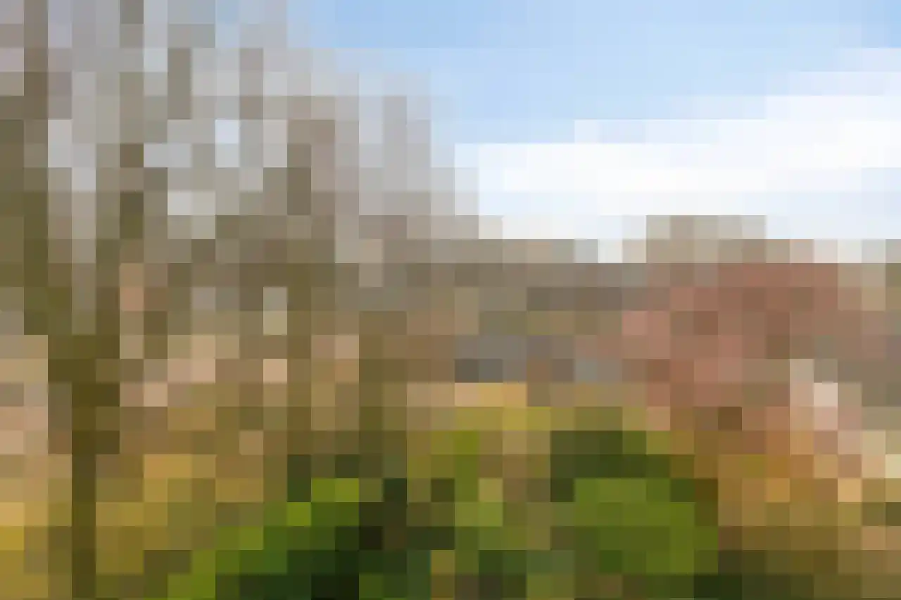Huis te Landelaan 408 Rijswijk thumbnail 38