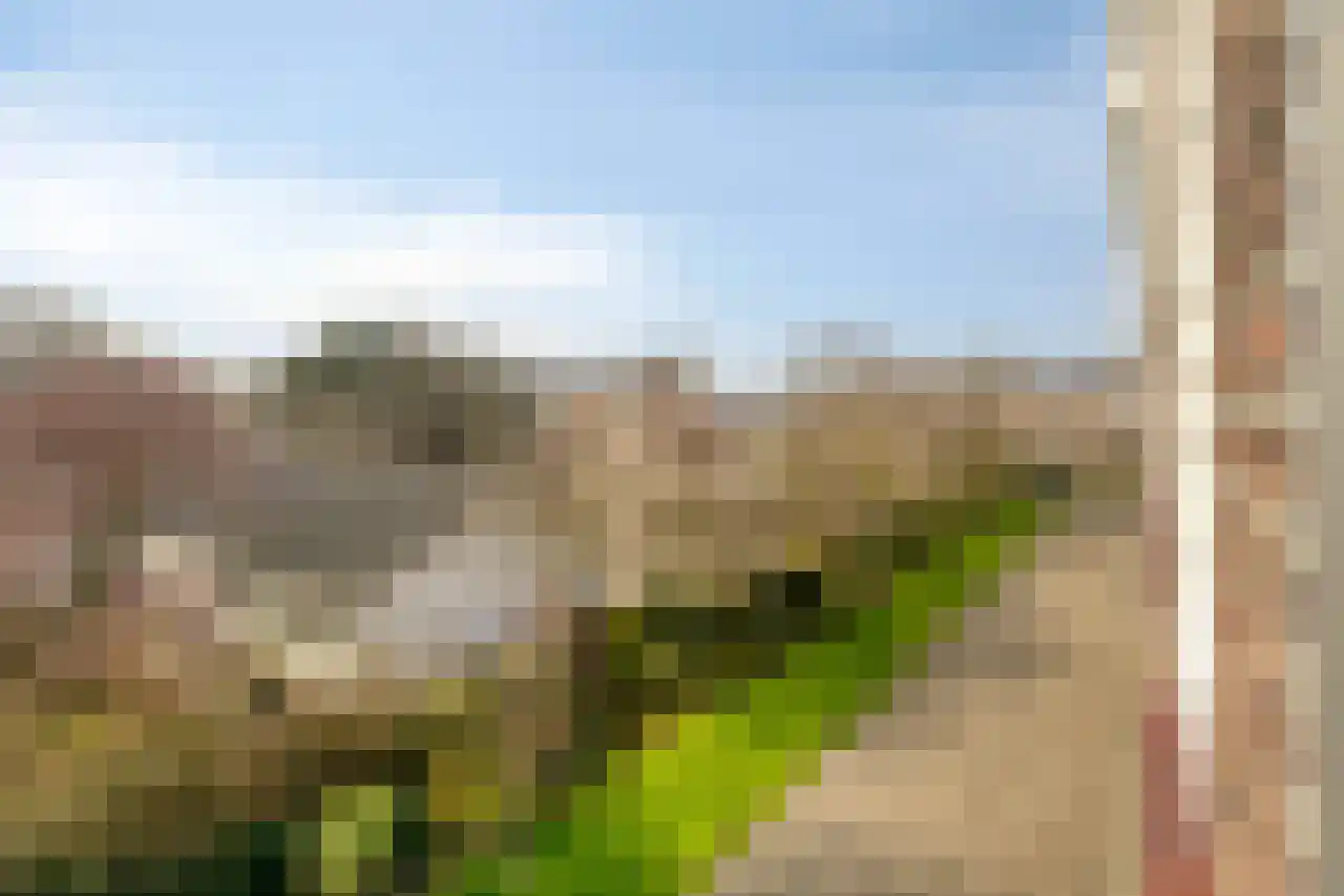 Huis te Landelaan 408 Rijswijk thumbnail 39
