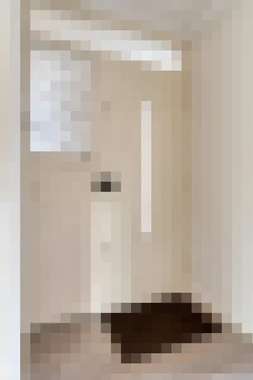 Huis te Landelaan 408 Rijswijk thumbnail 9