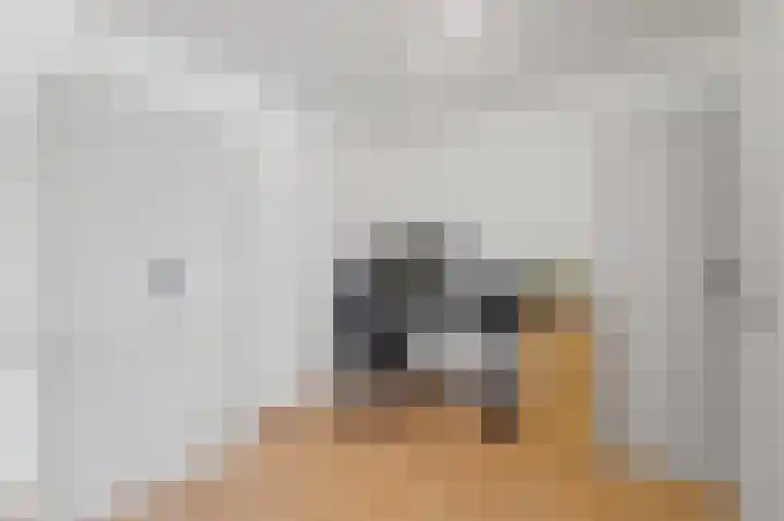 Huis te Landelaan 424 F304 Rijswijk thumbnail 16