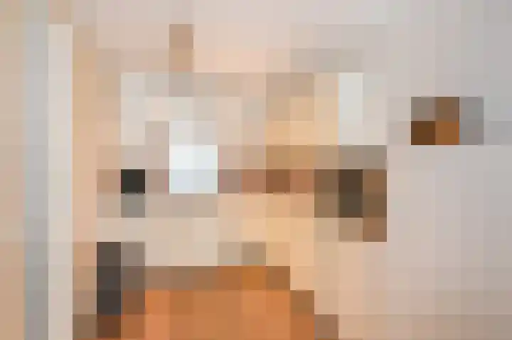 Huis te Landelaan 424 F304 Rijswijk thumbnail 19