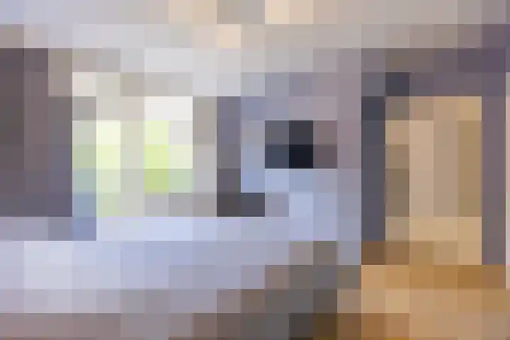 Huis te Landelaan 44 Rijswijk thumbnail 11