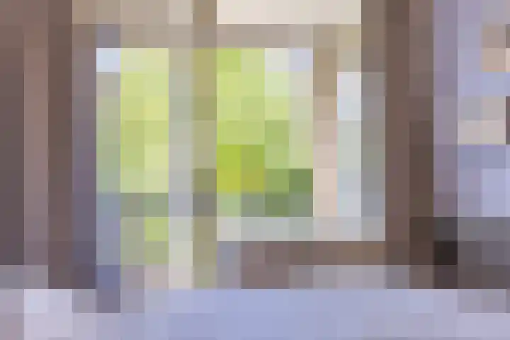 Huis te Landelaan 44 Rijswijk thumbnail 12