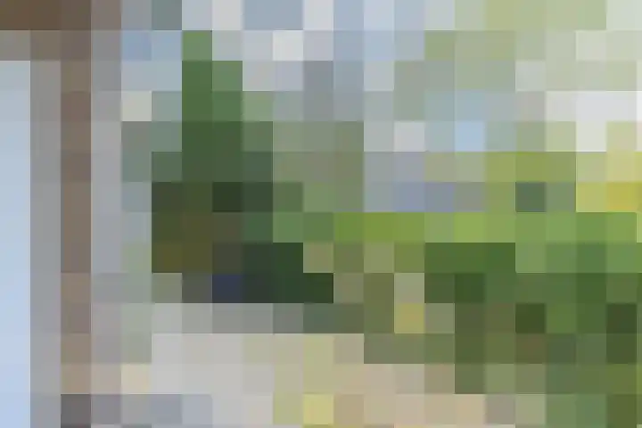 Huis te Landelaan 44 Rijswijk thumbnail 16