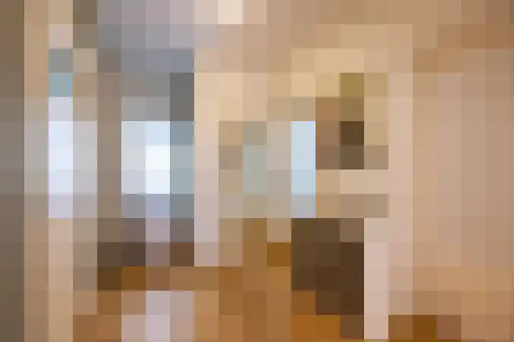 Huis te Landelaan 44 Rijswijk thumbnail 20