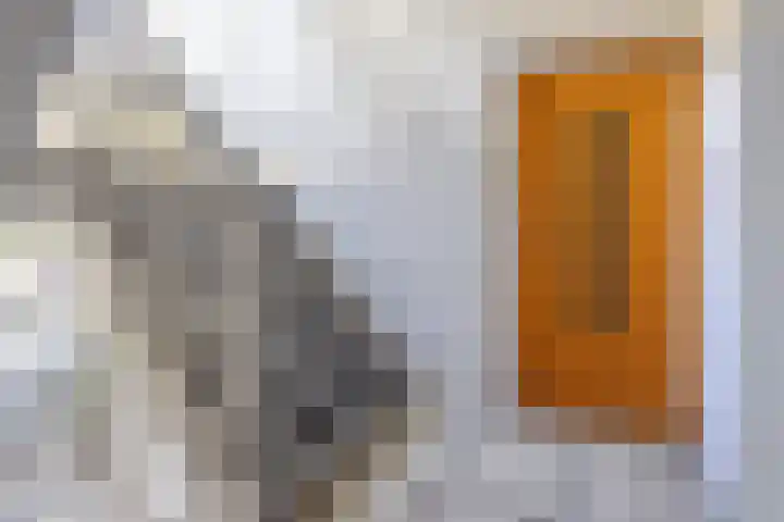 Huis te Landelaan 44 Rijswijk thumbnail 22