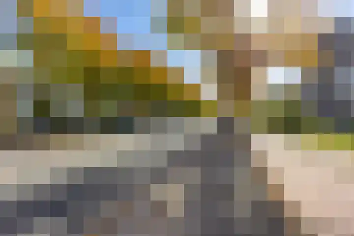 Huis te Landelaan 44 Rijswijk thumbnail 24