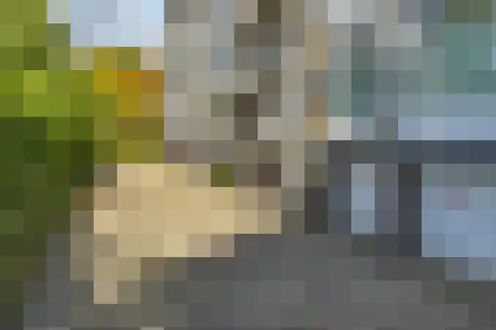 Huis te Landelaan 44 Rijswijk thumbnail 25