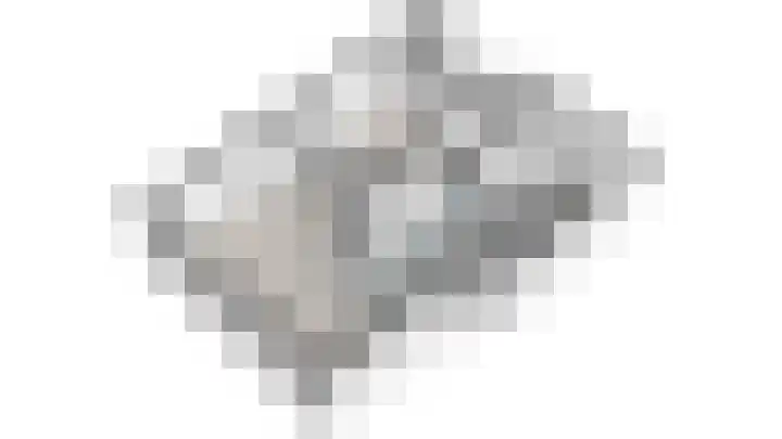 Huis te Landelaan 44 Rijswijk thumbnail 31