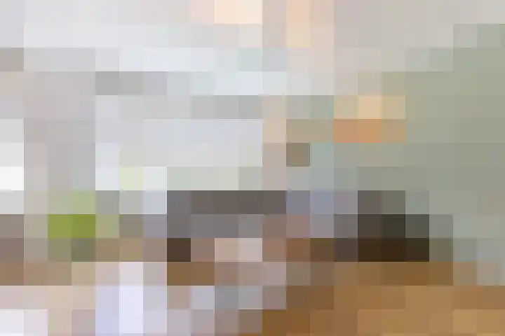 Huis te Landelaan 44 Rijswijk thumbnail 4